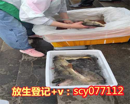 兰州放生螃蟹（兰州放生群）