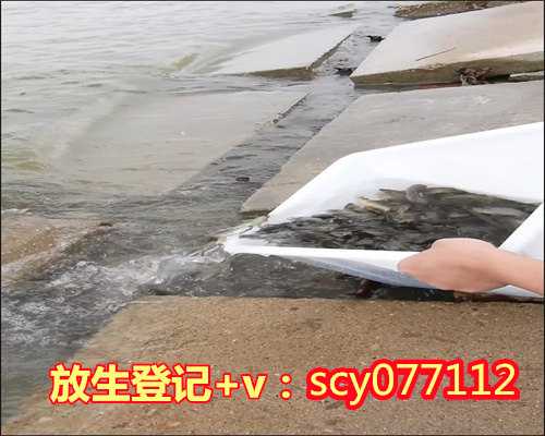 兰州怎么放生甲鱼,兰州莲海放生团,兰州放生兔子