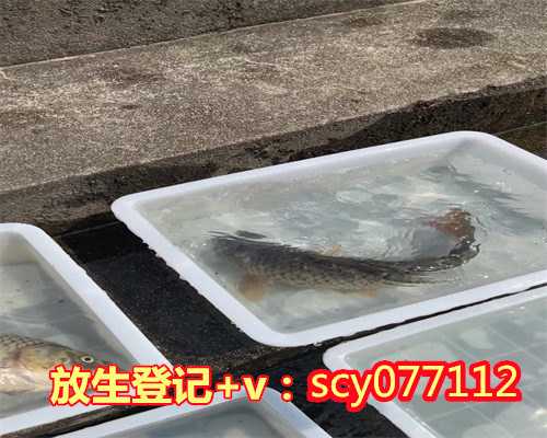 兰州代放生（兰州放生哪里好）