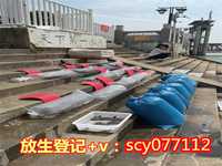 兰州放生网-兰州放生护生团