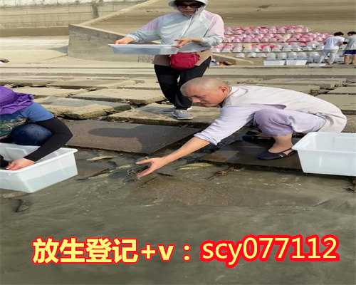 兰州放生日期（兰州放生兰州可以放泥鳅吗）